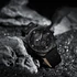 Kép 4/5 - NAVIFORCE SPIRIT Quartz L