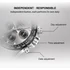 Obraz 5/11 - NAVIFORCE DAYTA Quartz S