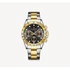NAVIFORCE DAYTA Quartz S